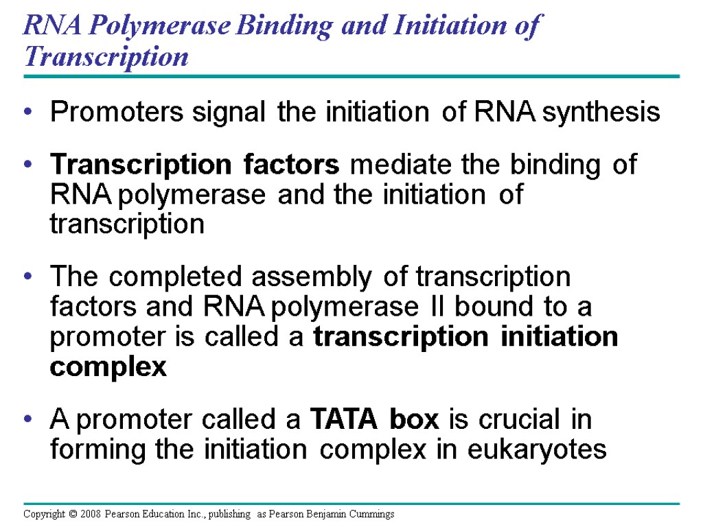 RNA Polymerase Binding and Initiation of Transcription Promoters signal the initiation of RNA synthesis